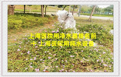 上海医院用净水器排名前十 上海医院用纯水设备